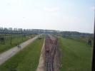 Linea ferroviaria.JPG